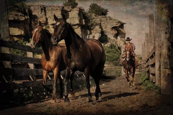 Rhonda Thompson: Pushing Them Along by Rhonda Thompson