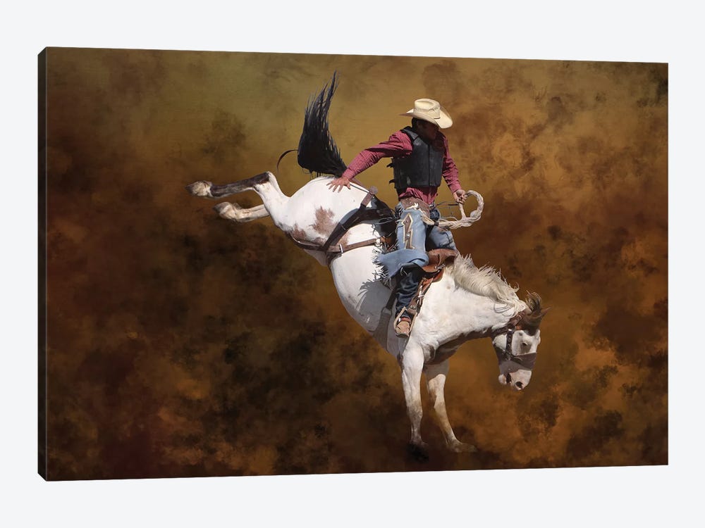 Rodeo 2 by Rhonda Thompson 1-piece Canvas Art Print