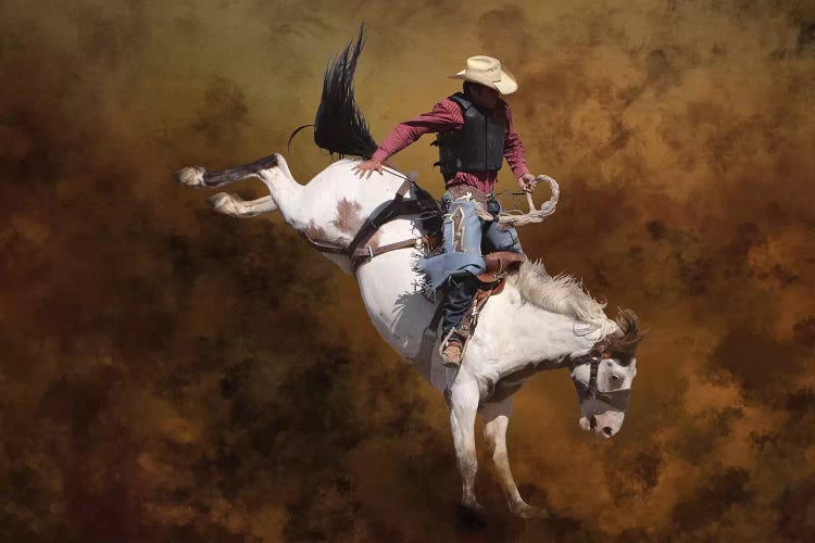 Rodeo 2 by Rhonda Thompson wall art
