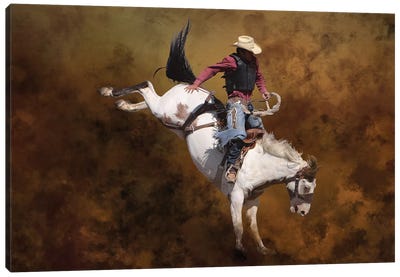 Rodeo 2 Canvas Art Print - Horseback Art