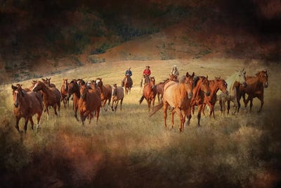 Round Up 2 by Rhonda Thompson art print