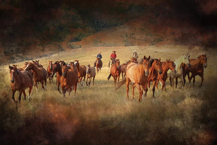 Round Up 2