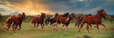 Running For Home by Rhonda Thompson multi panel art