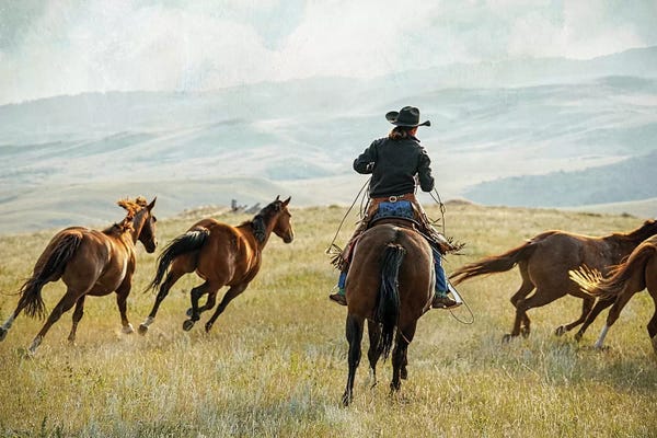 Rhonda Thompson: Running Horses by Rhonda Thompson