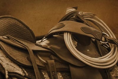 Saddle Up by Rhonda Thompson canvas print