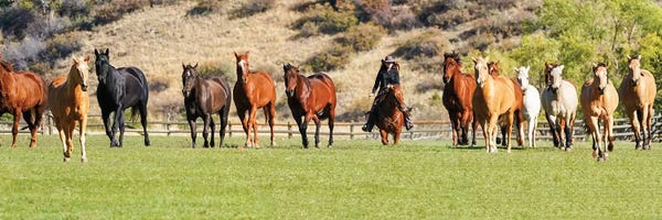 Rhonda Thompson: Slow Round Up by Rhonda Thompson