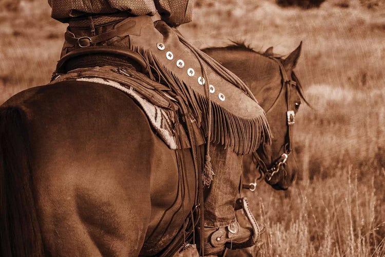 Sepia by Rhonda Thompson wall art