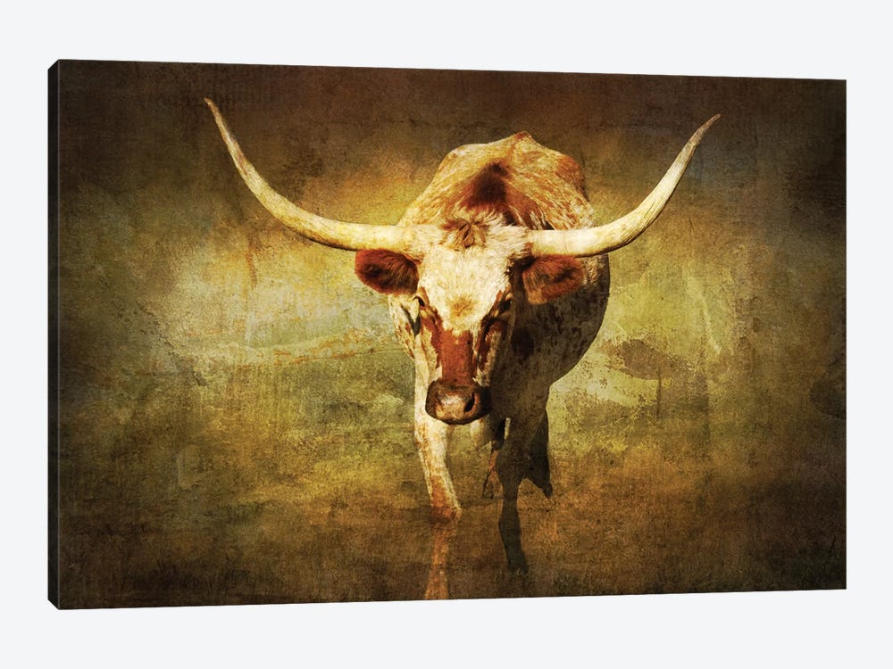 Steer 1 by Rhonda Thompson 1-piece Art Print
