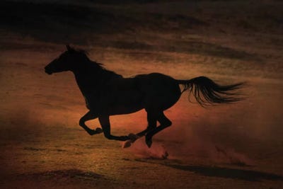 Sunset Run by Rhonda Thompson art print