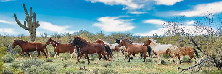 The Band Running Together