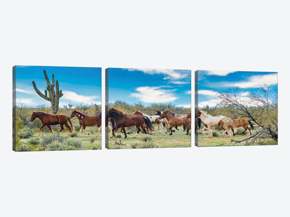 The Band Running Together by Rhonda Thompson 3-piece Canvas Wall Art