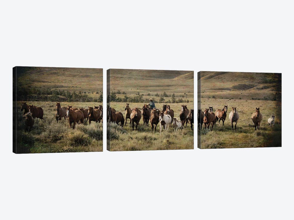 The Montana Round Up by Rhonda Thompson 3-piece Art Print