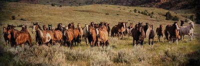 The Sound Of Thunder by Rhonda Thompson multi panel art