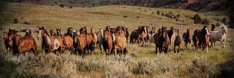 The Sound Of Thunder by Rhonda Thompson wall art