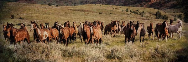 Rhonda Thompson: The Sound Of Thunder by Rhonda Thompson