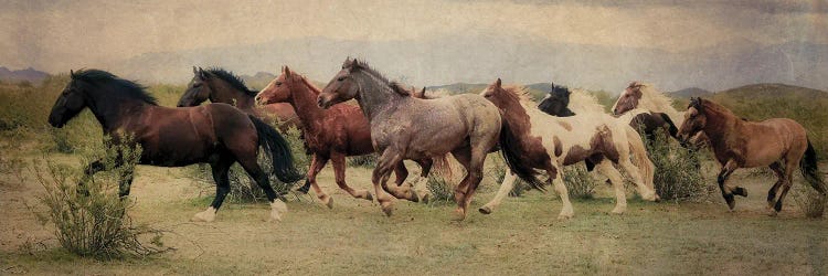 A Run Through the Desert by Rhonda Thompson wall art