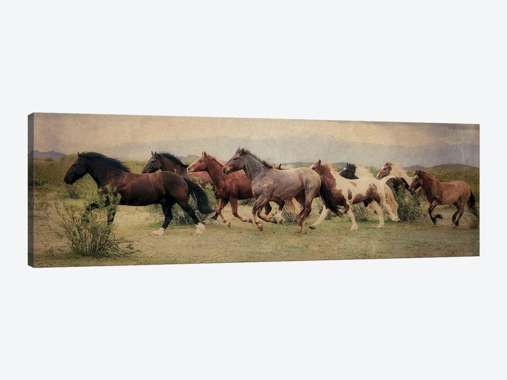 A Run Through the Desert by Rhonda Thompson 1-piece Canvas Print