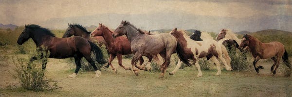 Rhonda Thompson: A Run Through the Desert by Rhonda Thompson