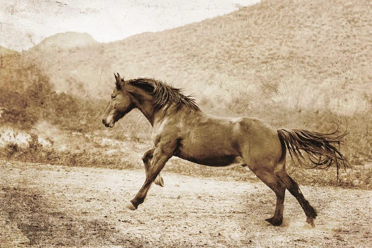 A Run Up the Hill by Rhonda Thompson wall art