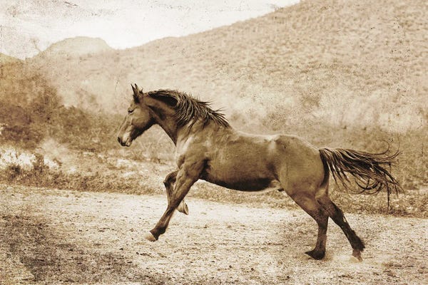 Rhonda Thompson: A Run Up the Hill by Rhonda Thompson