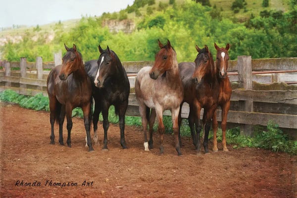 Band of Brothers