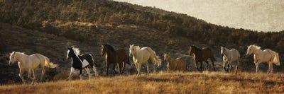 Coming around the Mountian by Rhonda Thompson multi panel art