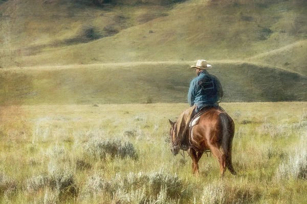 Rhonda Thompson: Cowboy Time by Rhonda Thompson