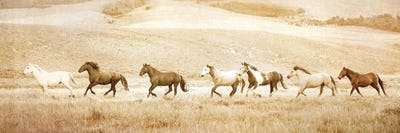 Headed for Water by Rhonda Thompson multi panel art