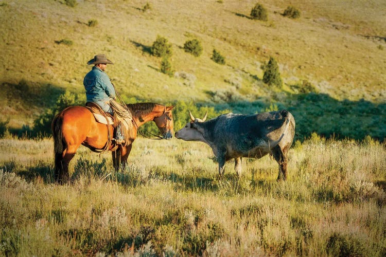 Making Friends by Rhonda Thompson wall art