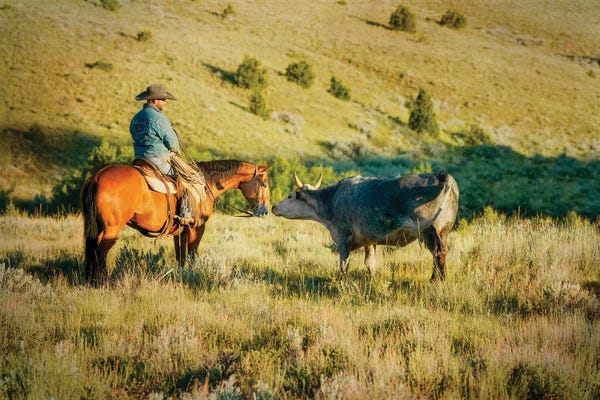 Rhonda Thompson: Making Friends by Rhonda Thompson