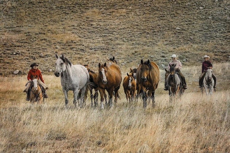 Moving Horses