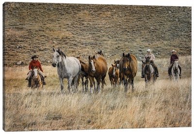 Moving Horses Canvas Art Print - Horseback Art