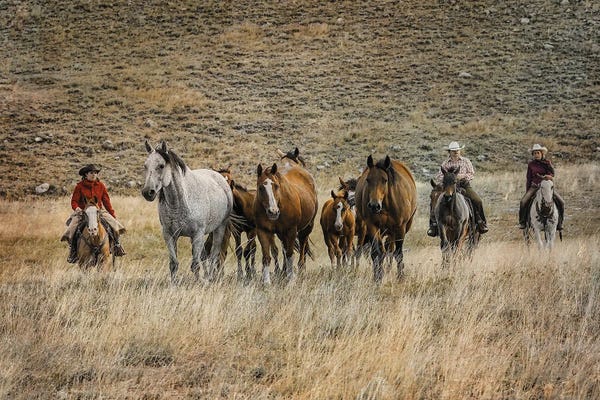 Rhonda Thompson: Moving Horses by Rhonda Thompson