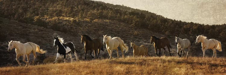 Coming Around The Moutian by Rhonda Thompson wall art