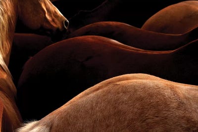 Curves by Rhonda Thompson art print