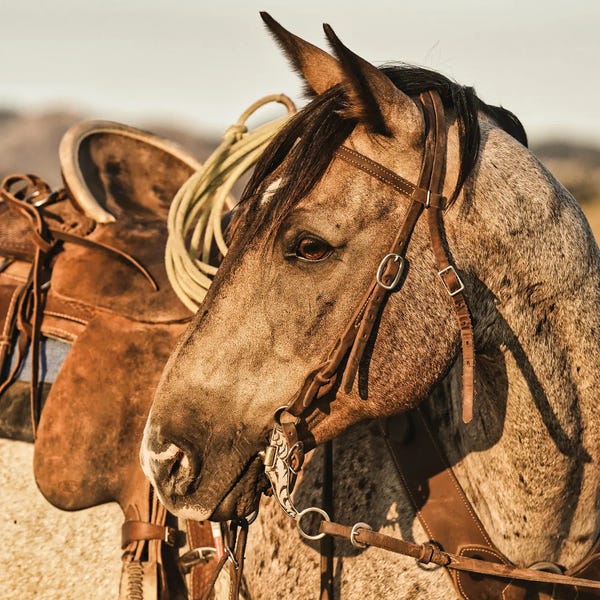 Rhonda Thompson: On the Watch by Rhonda Thompson