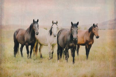 Our Home by Rhonda Thompson canvas print