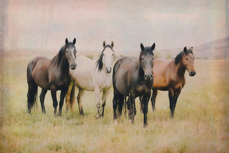 Our Home by Rhonda Thompson wall art