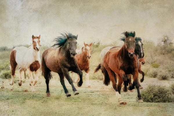 Rhonda Thompson: Out of the Desert by Rhonda Thompson