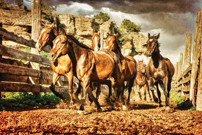 Out Run the Storm by Rhonda Thompson framed canvas print