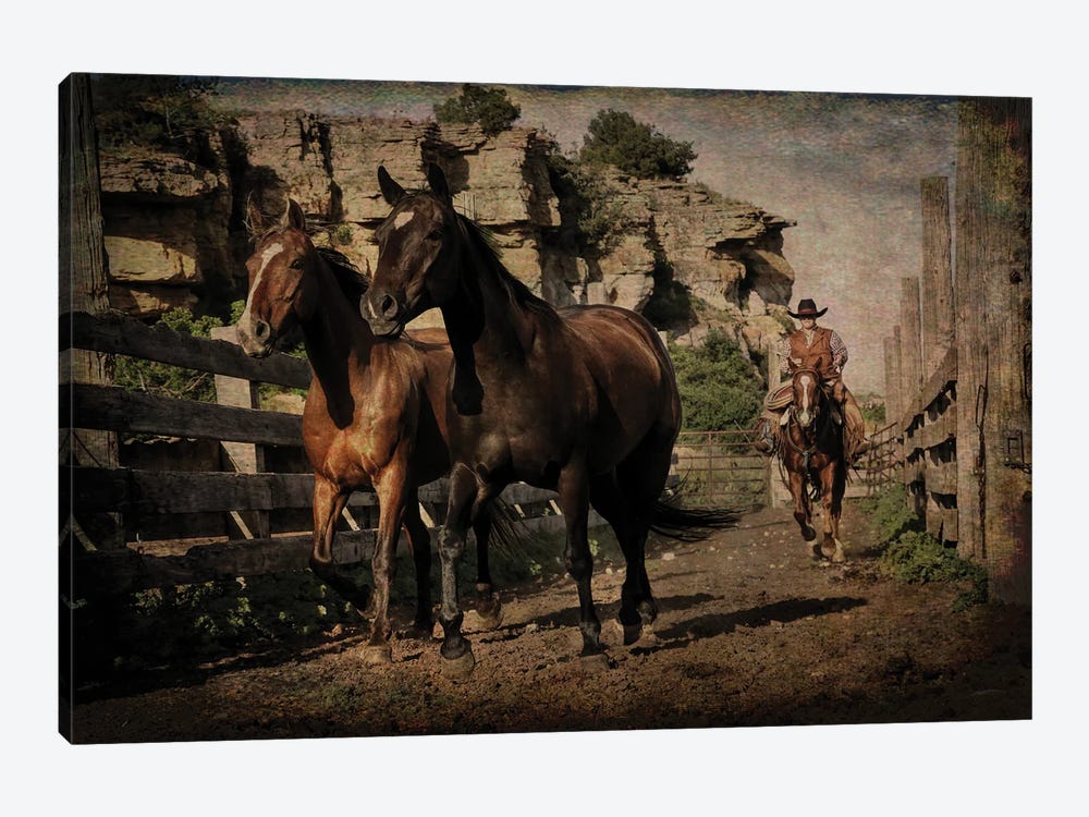 Pushing them Along the Alley by Rhonda Thompson 1-piece Canvas Art