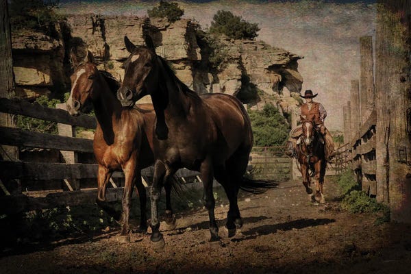 Rhonda Thompson: Pushing them Along the Alley by Rhonda Thompson