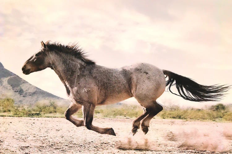 Running through the Desert