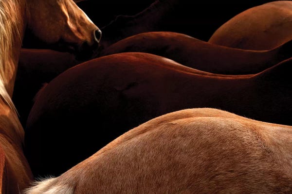 Rhonda Thompson: Curves by Rhonda Thompson