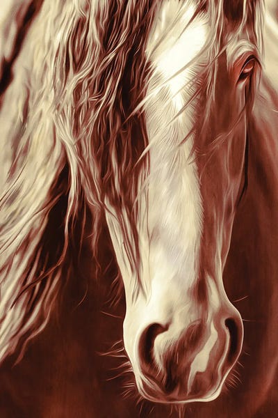 Sepia Rodeo Horse by Rhonda Thompson canvas print