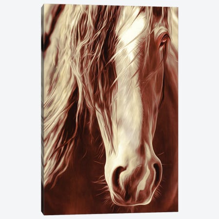 Sepia Rodeo Horse Canvas Print #RHT90} by Rhonda Thompson Art Print