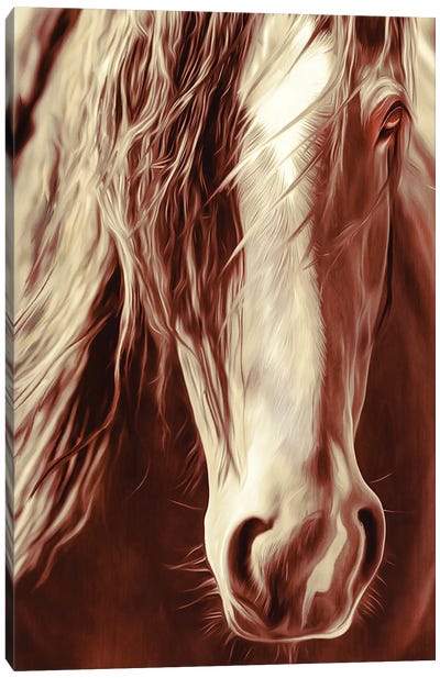 Sepia Rodeo Horse Canvas Art Print - Rhonda Thompson