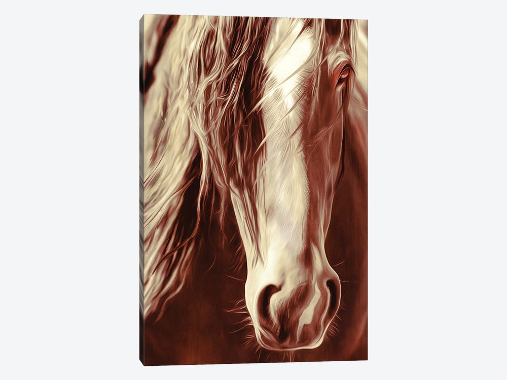 Sepia Rodeo Horse by Rhonda Thompson 1-piece Canvas Print