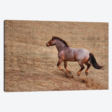 Taking the Challenge up Hill Canvas Print #RHT95} by Rhonda Thompson Canvas Wall Art