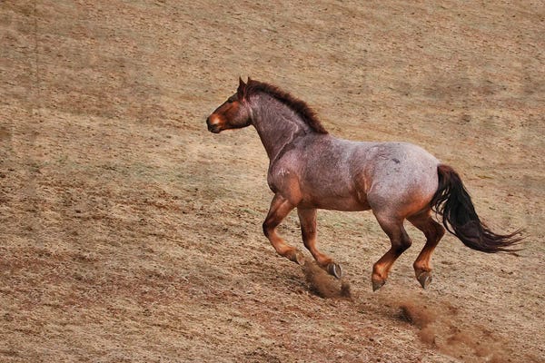 Rhonda Thompson: Taking the Challenge up Hill by Rhonda Thompson